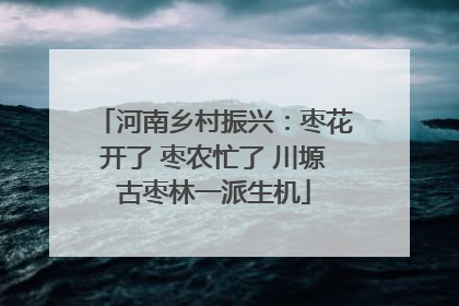 河南乡村振兴：枣花开了 枣农忙了 川塬古枣林一派生机