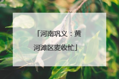河南巩义：黄河滩区麦收忙