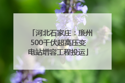 河北石家庄：廉州500千伏超高压变电站增容工程投运