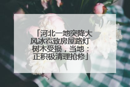 河北一地突降大风冰雹致房屋路灯树木受损，当地：正积极清理抢修