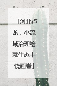 河北卢龙：小流域治理绘就生态丰饶画卷