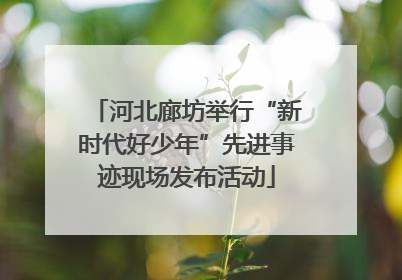 河北廊坊举行“新时代好少年”先进事迹现场发布活动