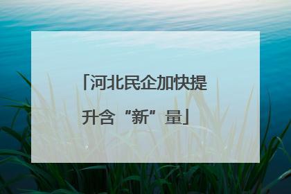 河北民企加快提升含“新”量