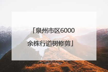泉州市区6000余株行道树修剪