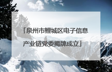 泉州市鲤城区电子信息产业链党委揭牌成立