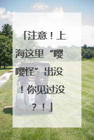 注意！上海这里“嘤嘤怪”出没！你见过没？！
