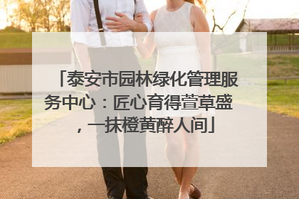 泰安市园林绿化管理服务中心：匠心育得萱草盛，一抹橙黄醉人间