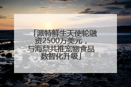 派特鲜生天使轮融资2500万美元，与海鼎共推宠物食品数智化升级