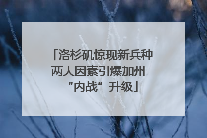 洛杉矶惊现新兵种 两大因素引爆加州“内战”升级