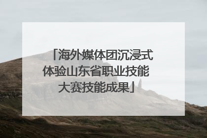 海外媒体团沉浸式体验山东省职业技能大赛技能成果