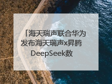 海天瑞声联合华为发布海天瑞声x昇腾DeepSeek数据飞轮智能体