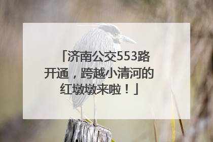 济南公交553路开通，跨越小清河的红墩墩来啦！