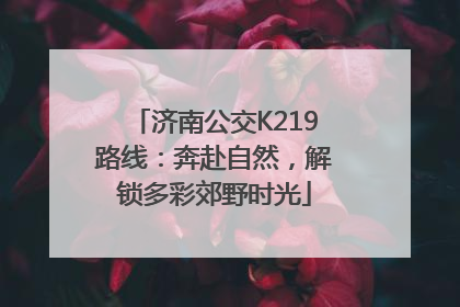 济南公交K219路线：奔赴自然，解锁多彩郊野时光