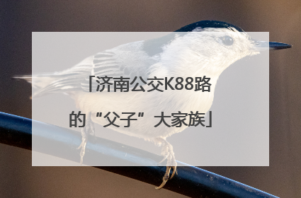 济南公交K88路的“父子”大家族