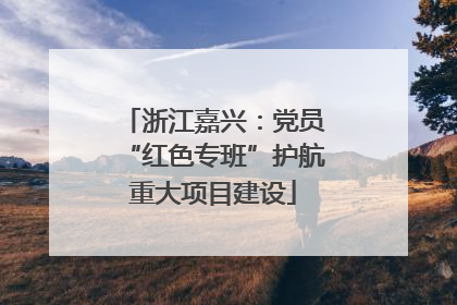 浙江嘉兴：党员“红色专班”护航重大项目建设