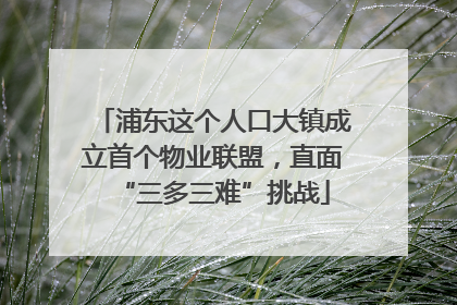 浦东这个人口大镇成立首个物业联盟，直面“三多三难”挑战