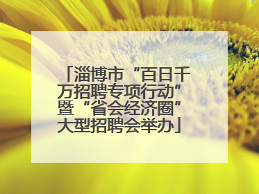 淄博市“百日千万招聘专项行动”暨“省会经济圈”大型招聘会举办