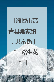 淄博市高青县常家镇：共富路上“一路生花”