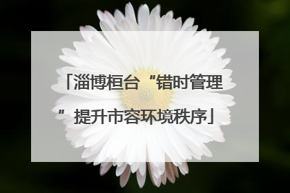 淄博桓台“错时管理”提升市容环境秩序