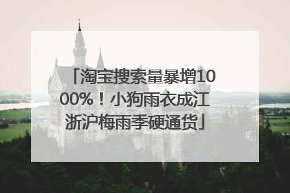 淘宝搜索量暴增1000%！小狗雨衣成江浙沪梅雨季硬通货