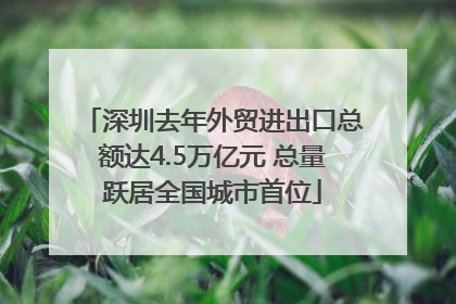 深圳去年外贸进出口总额达4.5万亿元 总量跃居全国城市首位