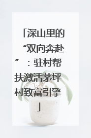 深山里的“双向奔赴”：驻村帮扶激活茅坪村致富引擎