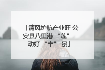 清风护航产业旺 公安县八里港 “莲” 动好 “丰” 景