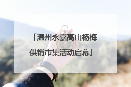 温州永嘉高山杨梅供销市集活动启幕