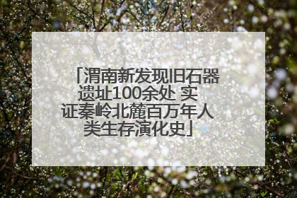 渭南新发现旧石器遗址100余处 实证秦岭北麓百万年人类生存演化史