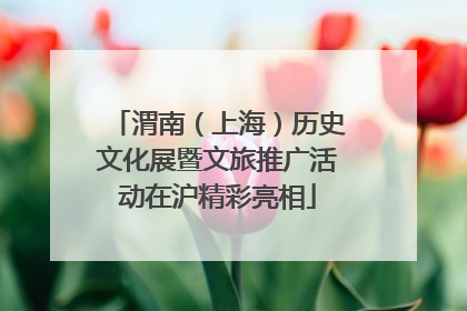 渭南（上海）历史文化展暨文旅推广活动在沪精彩亮相
