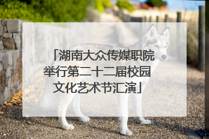 湖南大众传媒职院举行第二十二届校园文化艺术节汇演