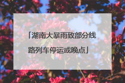 湖南大暴雨致部分线路列车停运或晚点
