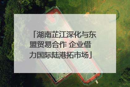 湖南芷江深化与东盟贸易合作 企业借力国际陆港拓市场