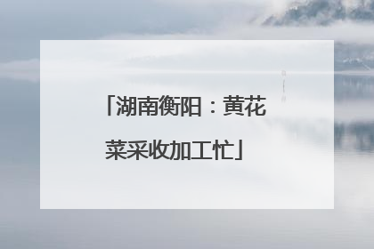 湖南衡阳：黄花菜采收加工忙