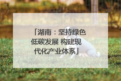 湖南：坚持绿色低碳发展 构建现代化产业体系
