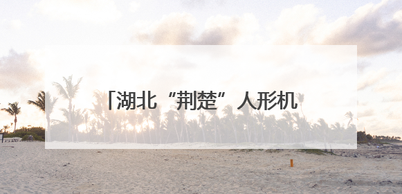 湖北“荆楚”人形机器人公司落户武昌