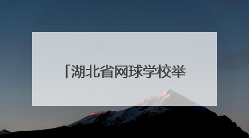 湖北省网球学校举办2025年校园开放日系列活动