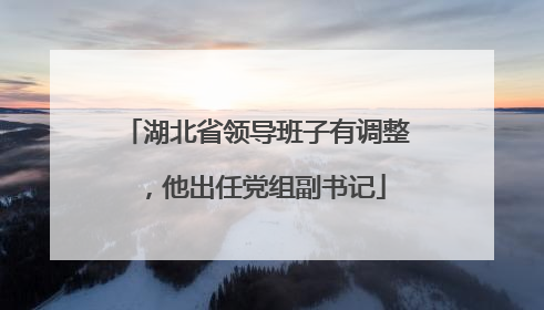 湖北省领导班子有调整，他出任党组副书记