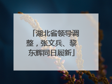 湖北省领导调整，张文兵、黎东辉同日履新