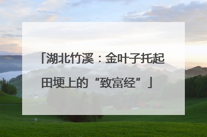 湖北竹溪：金叶子托起田埂上的“致富经”