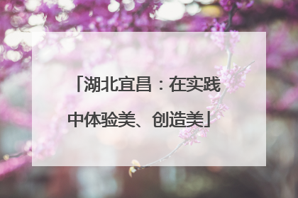 湖北宜昌：在实践中体验美、创造美