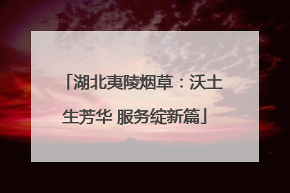 湖北夷陵烟草：沃土生芳华 服务绽新篇