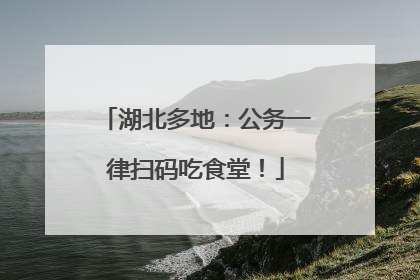 湖北多地：公务一律扫码吃食堂！