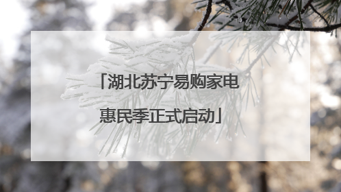 湖北苏宁易购家电惠民季正式启动