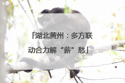 湖北黄州：多方联动合力解“薪”愁