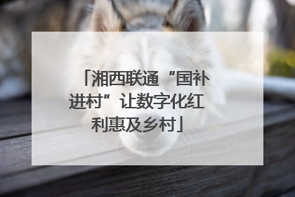湘西联通“国补进村”让数字化红利惠及乡村