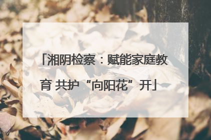 湘阴检察：赋能家庭教育 共护“向阳花”开