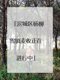 滨城区杨柳雪镇麦收正在进行中
