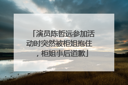 演员陈哲远参加活动时突然被柜姐抱住，柜姐事后道歉
