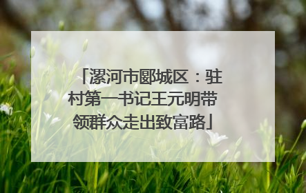 漯河市郾城区：驻村第一书记王元明带领群众走出致富路